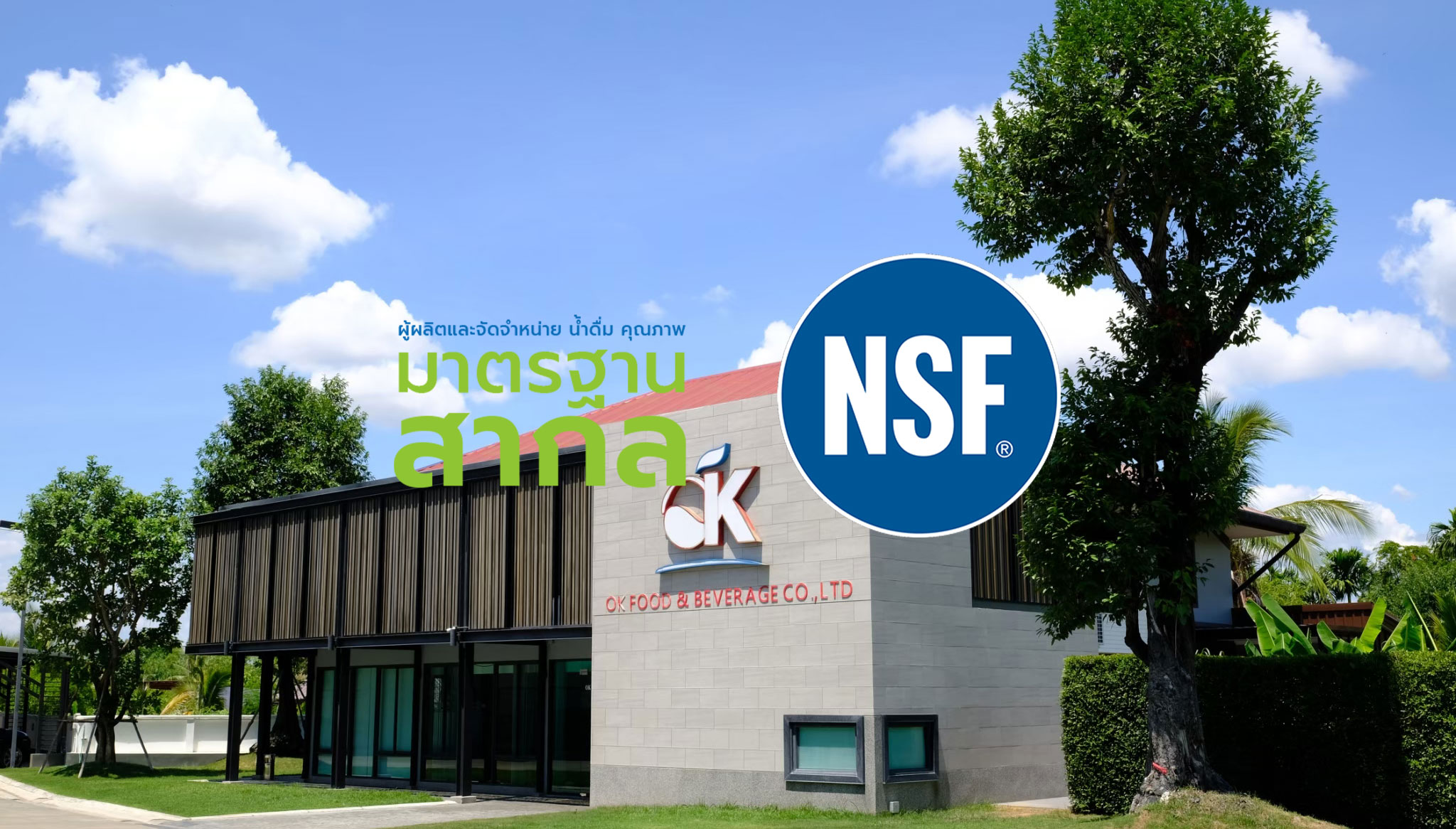 newofficecolor1slide